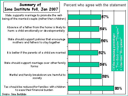 Iona Institute Poll, January 2007